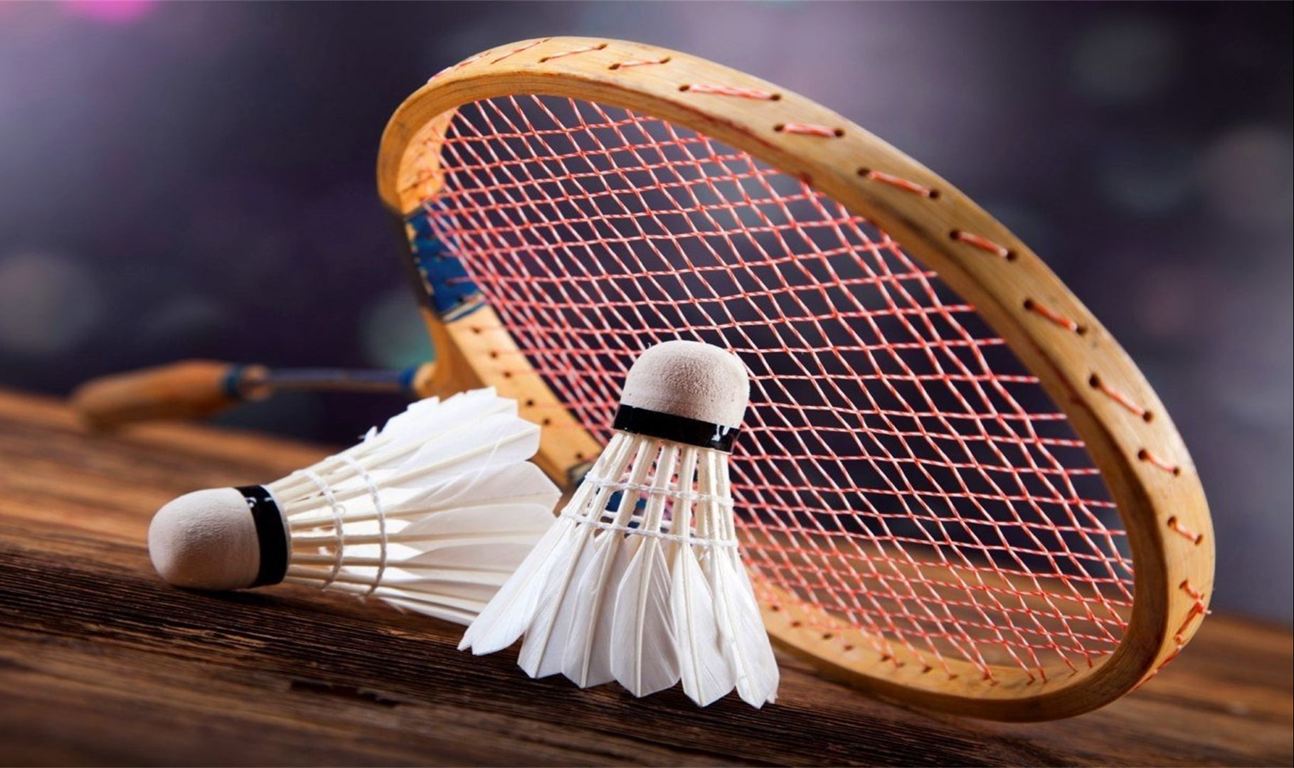 竞价对比 竞价对比